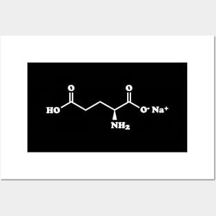 MSG Monosodium Glutamate Molecular Chemical Formula Posters and Art